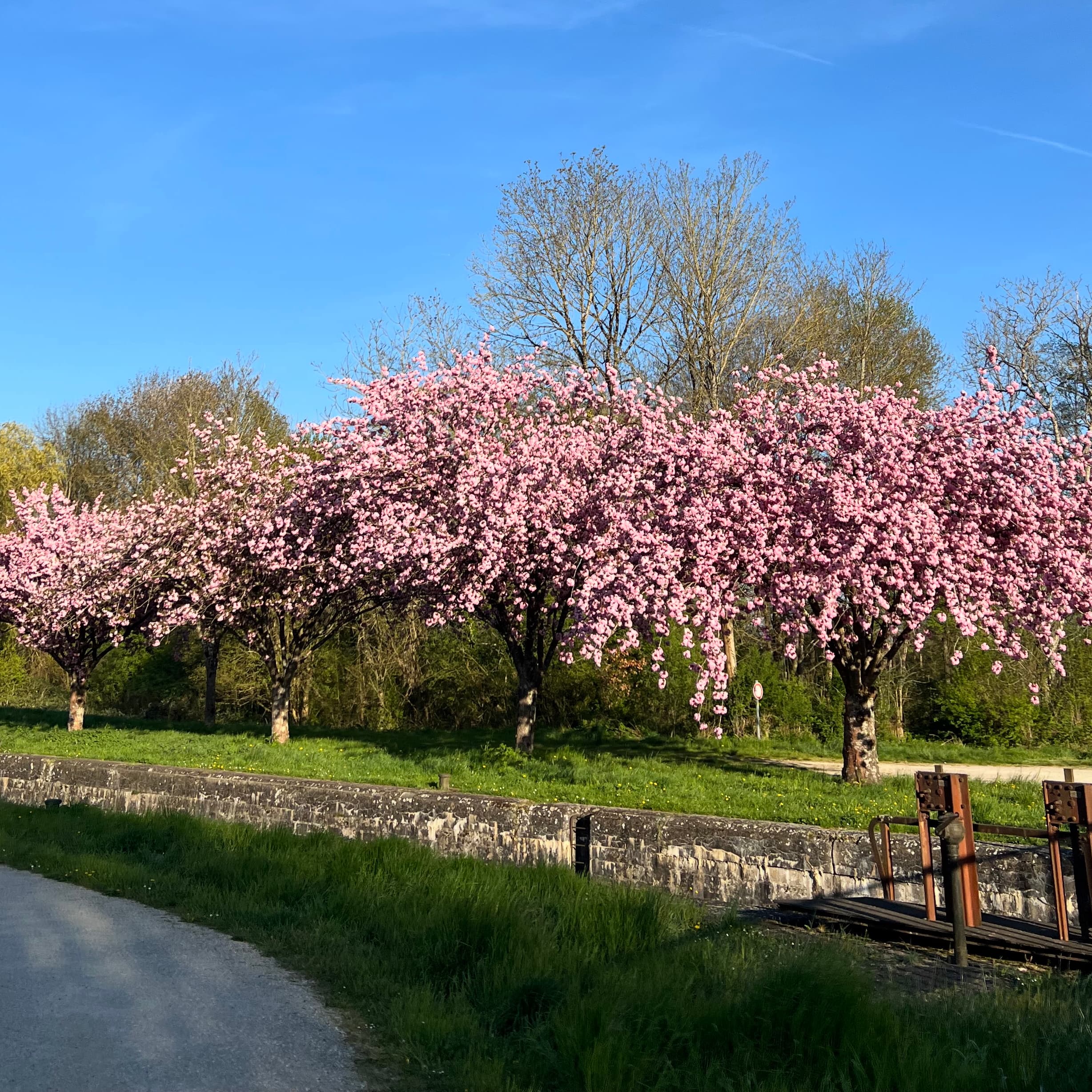 Les alentours du camping